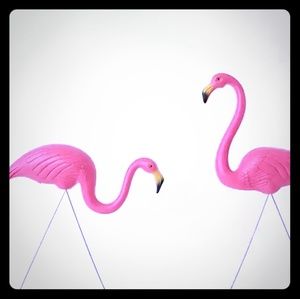 Meet your Posher, Rebeca